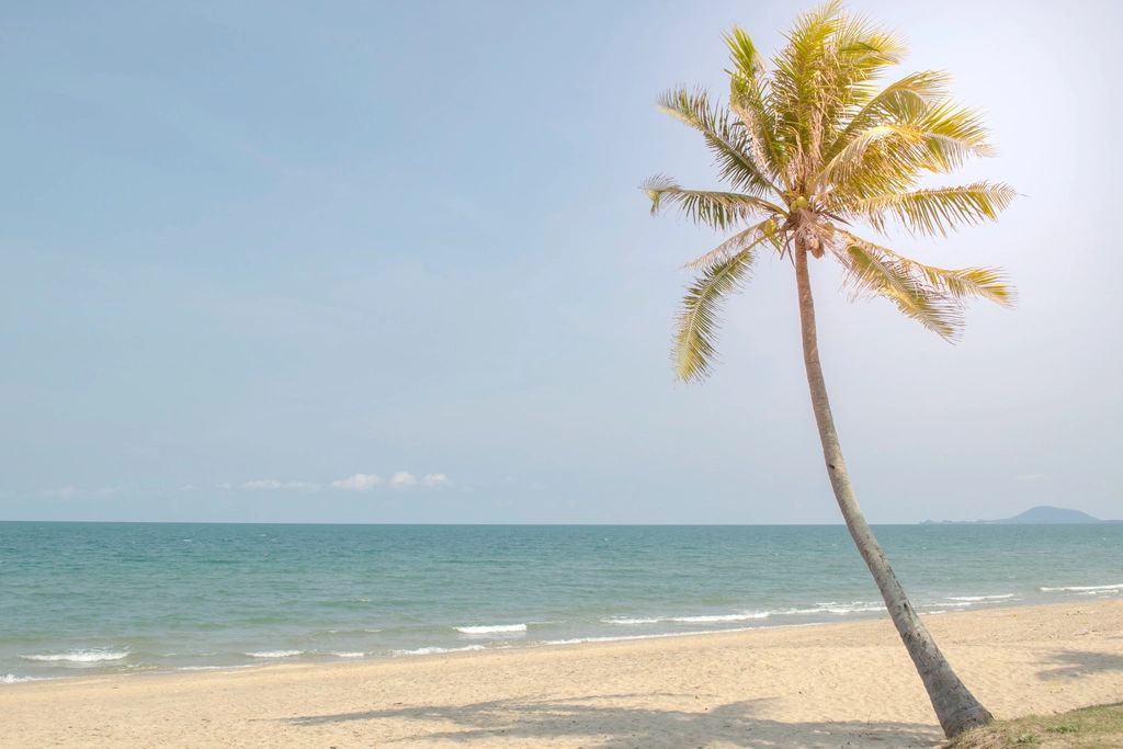The beach and the water beyond it